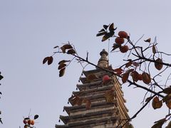 -北京石刻艺术博物馆(五塔寺)