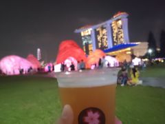 -鱼尾狮公园