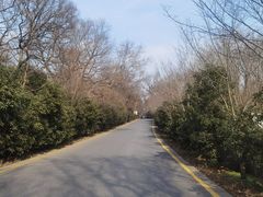 -WeLope紫金山探险公园
