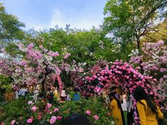 -淄博聊斋城景区