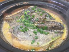 -金龙·打边炉(武进路店)