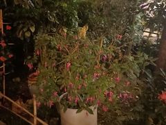 -阳光山水江湖菜馆(西山龙门店)