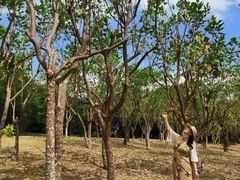-福建鲤鱼洲酒店