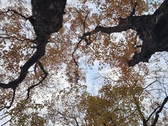 -山东大学(趵突泉校区)