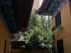 -护国法轮寺