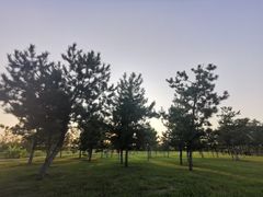 -洨河生态公园