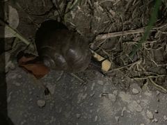 -杭州第一世界大酒店·云曼温泉
