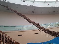 -陕西自然博物馆