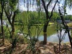 -大兴滨河森林公园