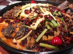 -老板恋上鱼(振华商厦店)