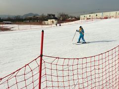 -华彬猛犸滑雪场