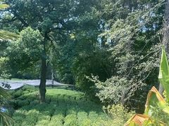 -野蔓果·山野菜(西湖景区·龙井茶田店)