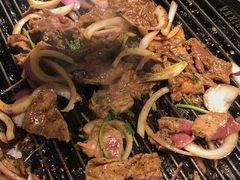 -燚店·铁板鱼蛙·烤肉·烤串(北新桥店)