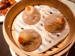 -粤凤佬