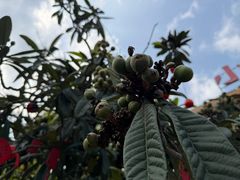 -小洞天柴火土菜馆