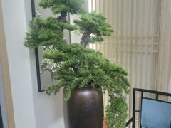 -囍榷·鲜美常州菜(恐龙园店)