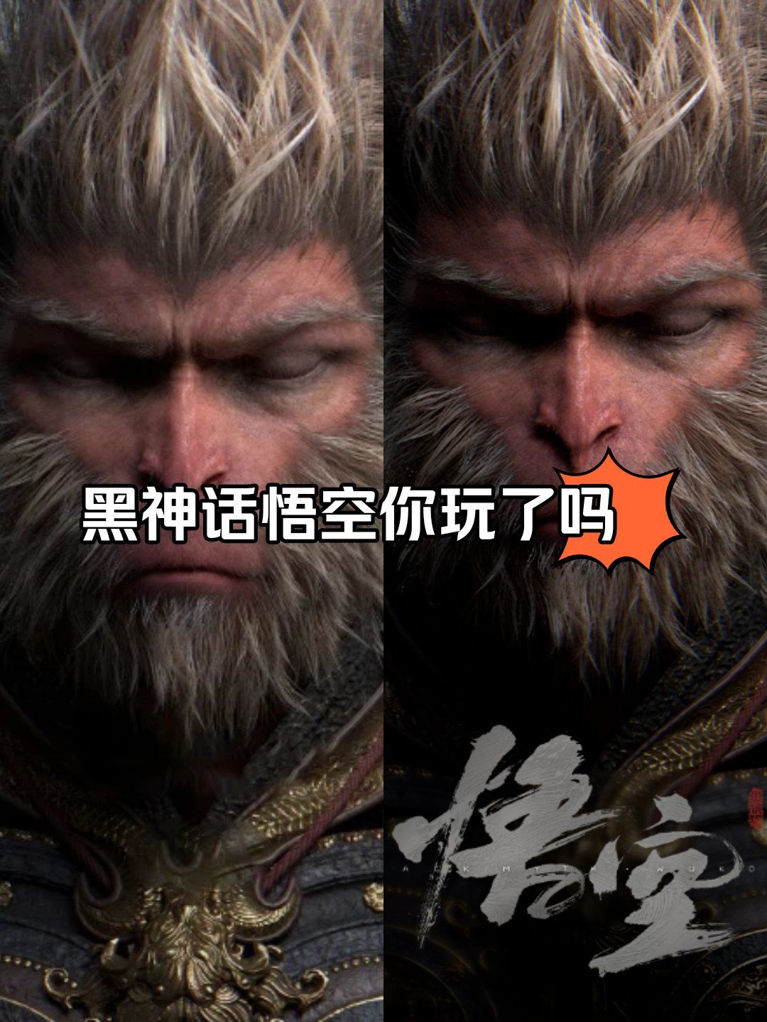 笔记萌芽计划 #优质作者追光计划 

这两天,一只黑猴刷屏了全网