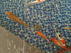 -兴芮温泉度假区