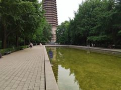-玲珑塔公园