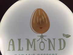 -杏甜品(尖沙咀加拿分道店)