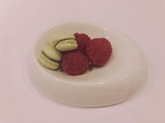 -蝶舍·MAISON PAPILLON