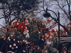 -西溪国家湿地公园