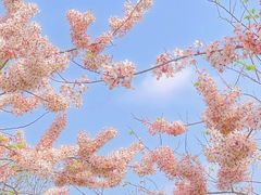 -白石龙音乐公园