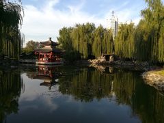 -南来顺饭庄·清真(南菜园店)