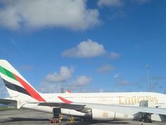 -西沃古尔·拉姆古兰爵士国际机场