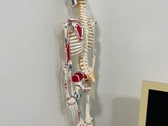 -杏林康桥中医正骨·体态矫正·跌打损伤·推拿按摩(国贸建外SOHO店)