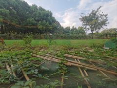 -潮府馆·非遗潮州菜·港式点心(世纪公园店)