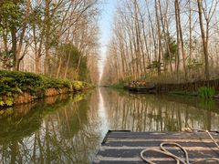 -合肥滨湖国家森林公园