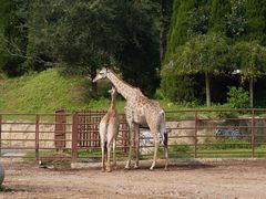 -大连森林动物园