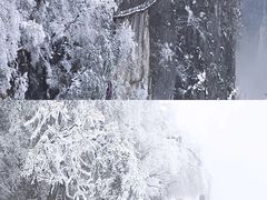 -张家界天门山国家森林公园
