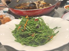 炝拌丝瓜尖-四川饭店(城乡购物中心店)