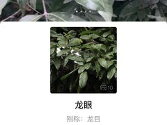 -张坝桂圆林公园