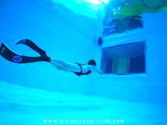 -上海潜殿潜水中心