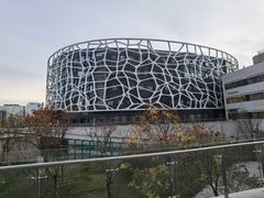 -首都医科大学附属北京天坛医院