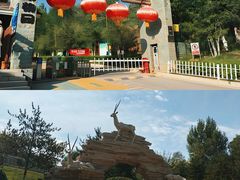 -青藏高原野生动物园