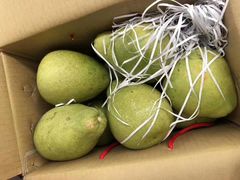 -上海龙吴水胜海发市场