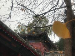 -承恩寺