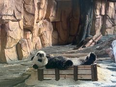 -泉州海丝野生动物世界