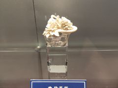 -中国地质大学逸夫博物馆