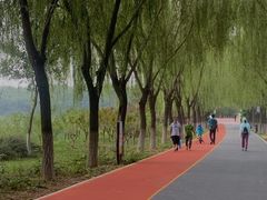 -大兴滨河森林公园