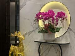 -碧澄保健(东风西路店)