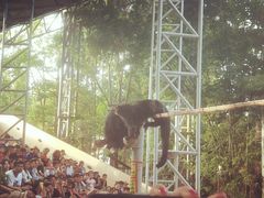 -清迈夜间动物园