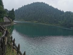 -武陵山森林公园