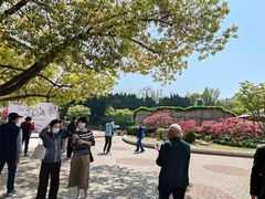 -嘉定紫藤园