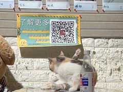 -平行世界·猫咖(首经贸店)