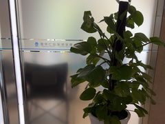 -圣贝口腔医院(高新院区)